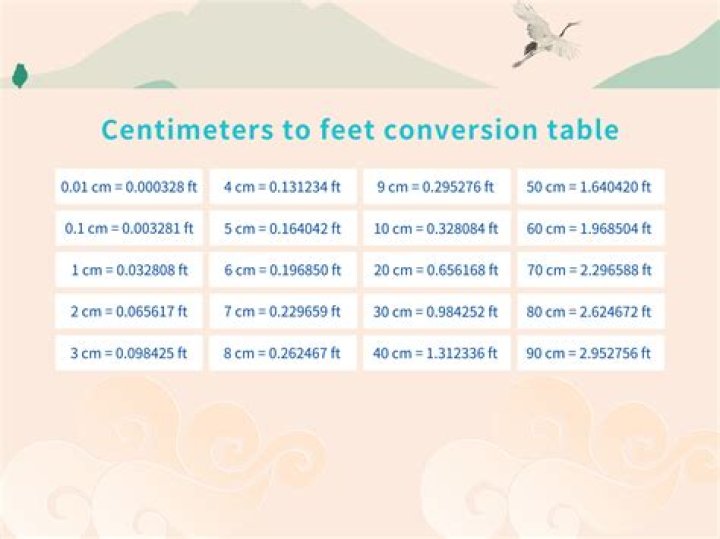 28.7 cm to feet and inches