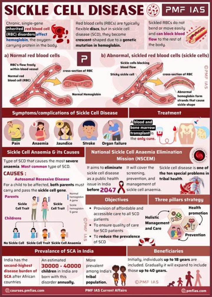 A Pioneer In Sickle Cell Anemia Research