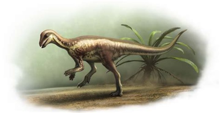 Unravel The Enigma Of "T-Rex Arms ADHD": Discoveries And Solutions Unveiled