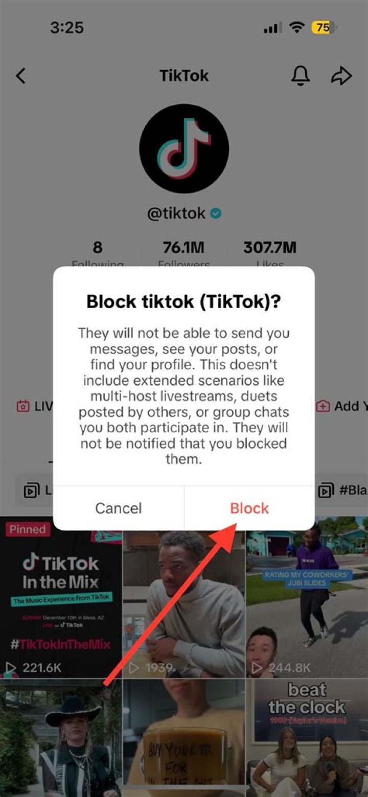 What Happens When You Block On TikTok